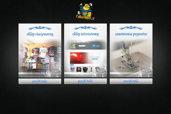 Callisto theme site design template sample