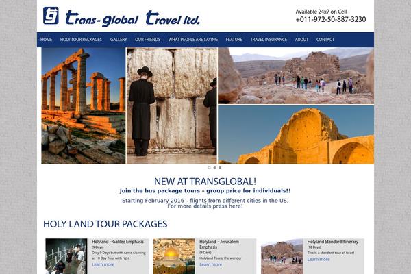 TransGlobal theme websites examples