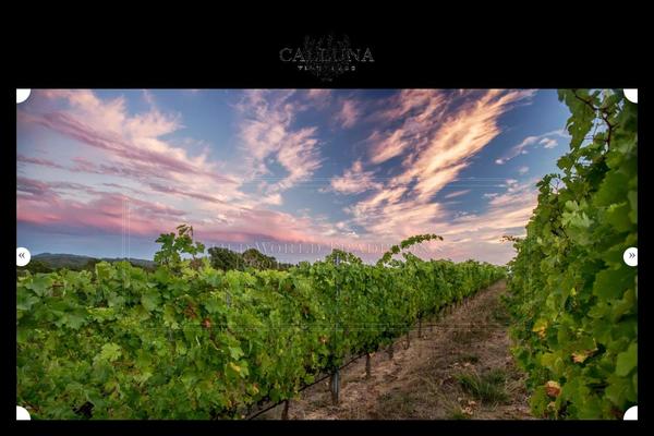 Calluna theme site design template sample