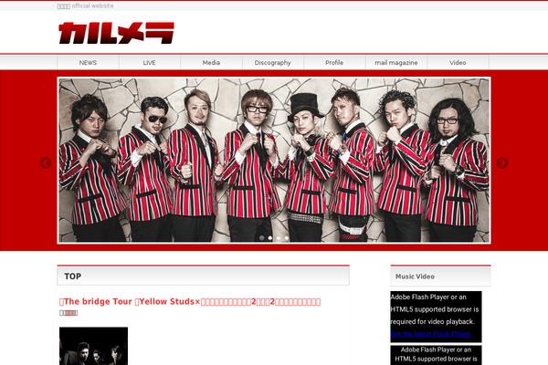 BizVektor theme site design template sample