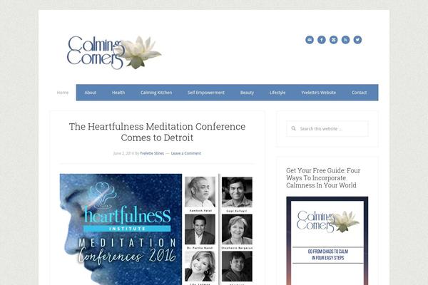 Lifestyle Pro theme site design template sample