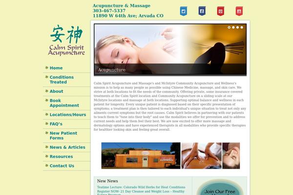Spasalon theme site design template sample