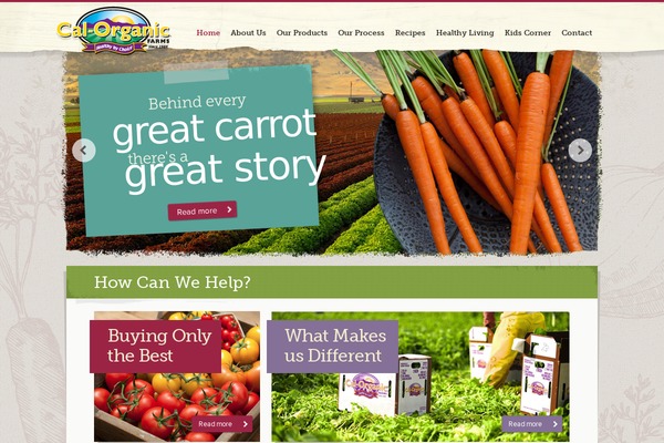 Digital_attic theme site design template sample