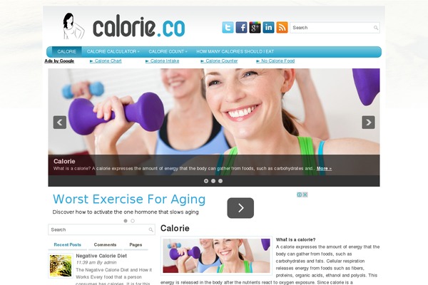 Weightloss theme site design template sample