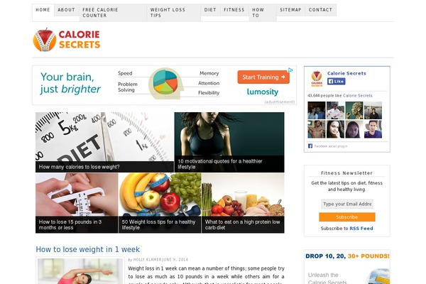 caloriesecrets.net site used Cstheme