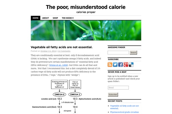 Coraline theme site design template sample