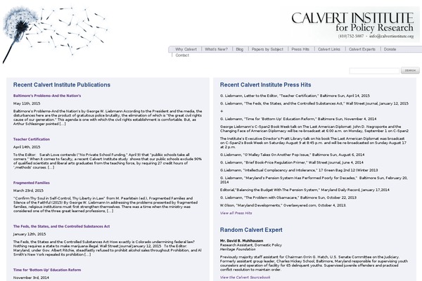 Ci theme site design template sample