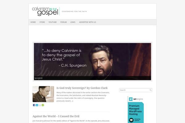 Fresh & Clean theme site design template sample