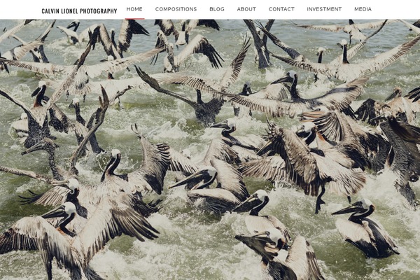 Titan theme site design template sample