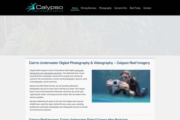 Calypso theme site design template sample