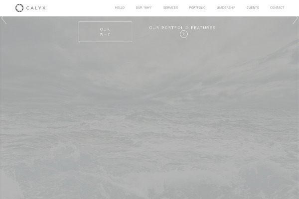 Visia theme site design template sample