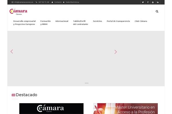 Smartco theme site design template sample