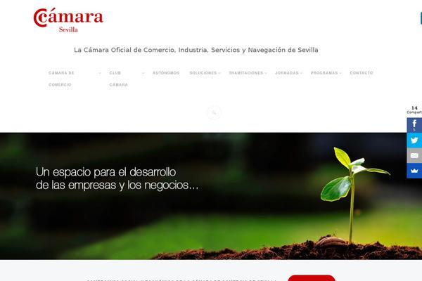 Classter theme site design template sample