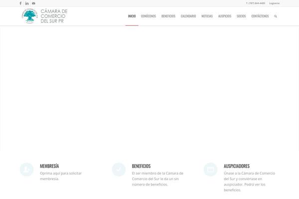 Site using Mailster plugin