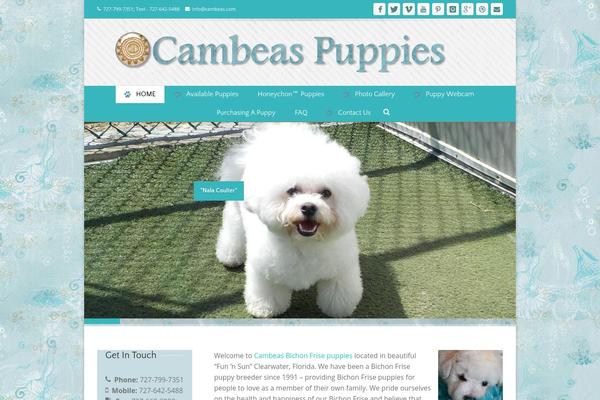 Site using Wordpress-stats-manager-pro plugin