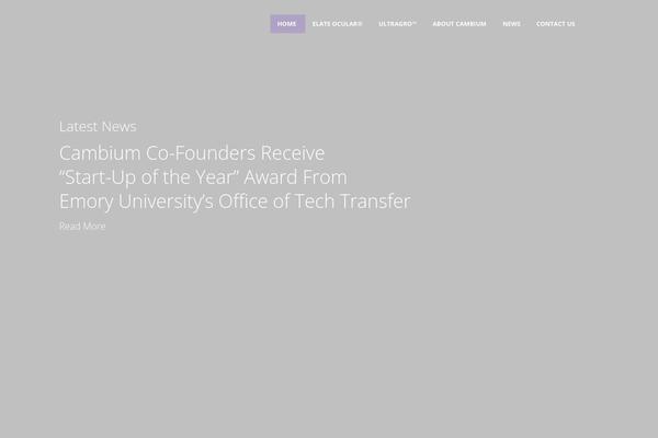 Crane theme site design template sample