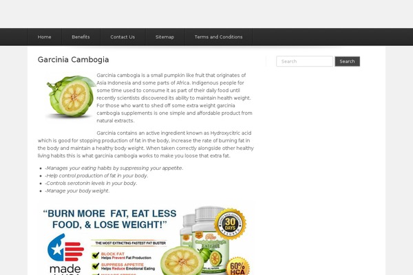 Estate theme site design template sample