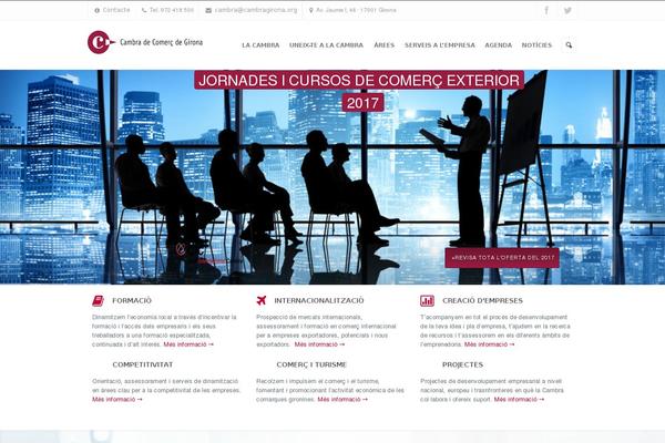 Site using Advanced-custom-fields-pro plugin