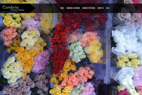 Shuttershot theme site design template sample