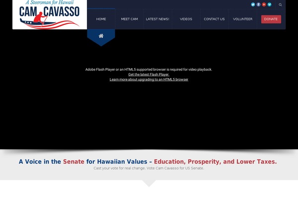 Election theme site design template sample