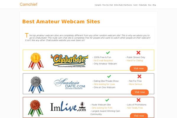 Focusblog theme site design template sample