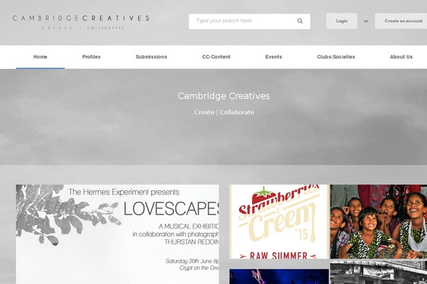 cube-child theme websites examples