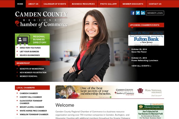 camden theme websites examples