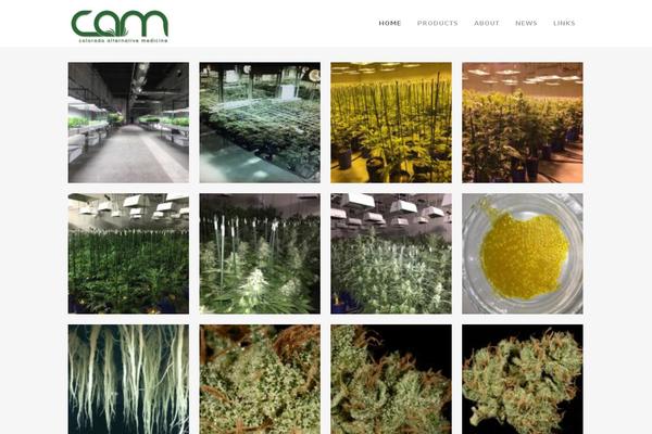 Site using Responsive Gallery plugin