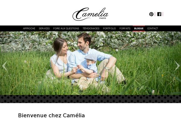 Camelia theme site design template sample