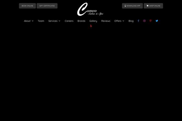 Site using Accesspress-social-icons-pro plugin