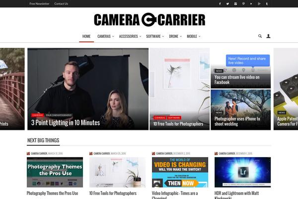Curated theme site design template sample