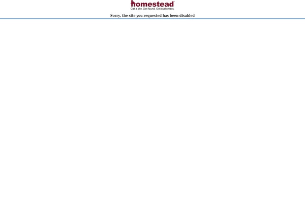 Business_analysis_wp theme site design template sample
