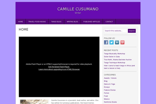 Corporate theme site design template sample