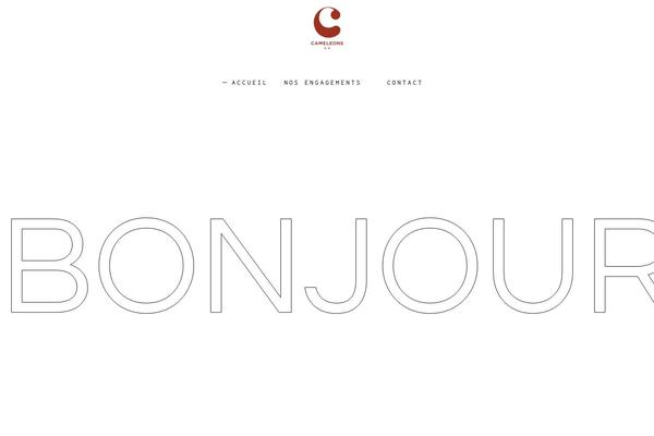 camilleetleon.com site used Amedeo