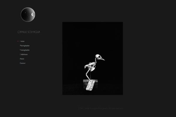 Camille theme site design template sample