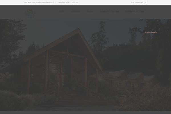 Site using Elementor-pro plugin