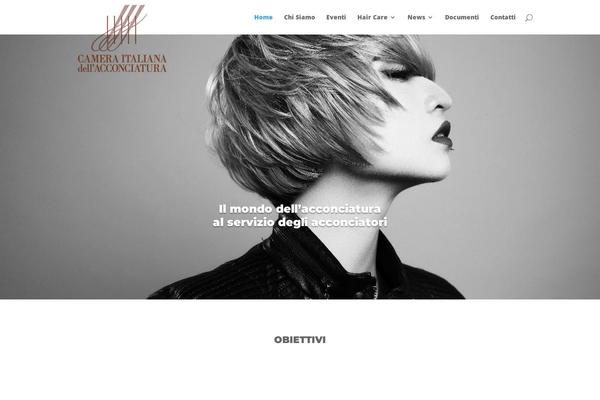 Divi theme site design template sample