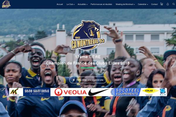 Extra theme site design template sample