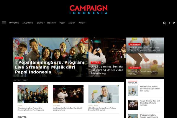 Site using MailChimp for WordPress plugin