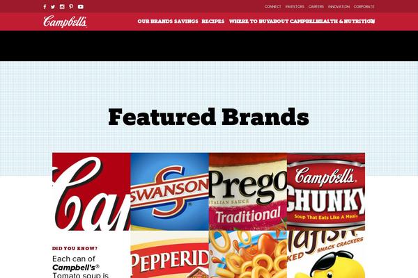 pfw-wp-brand-parent-theme theme websites examples