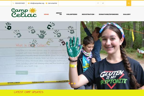 Site using Skt-templates plugin
