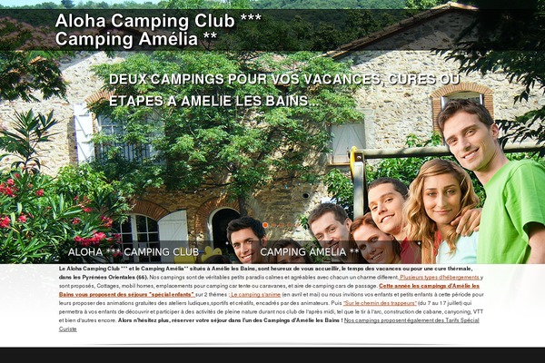 Ammon Theme theme site design template sample