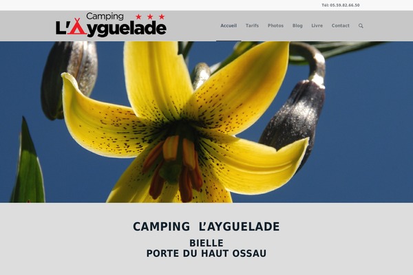 Enfold theme site design template sample