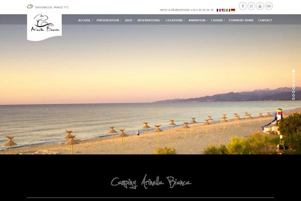 Site using WP Social Widget plugin
