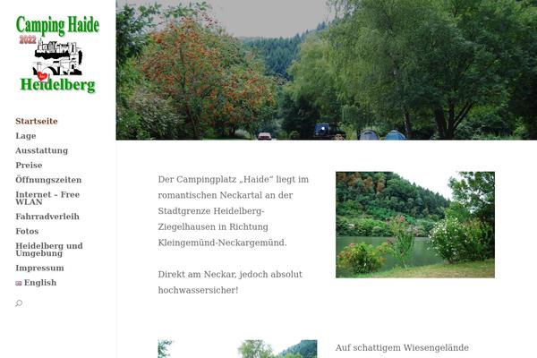 Divi theme site design template sample
