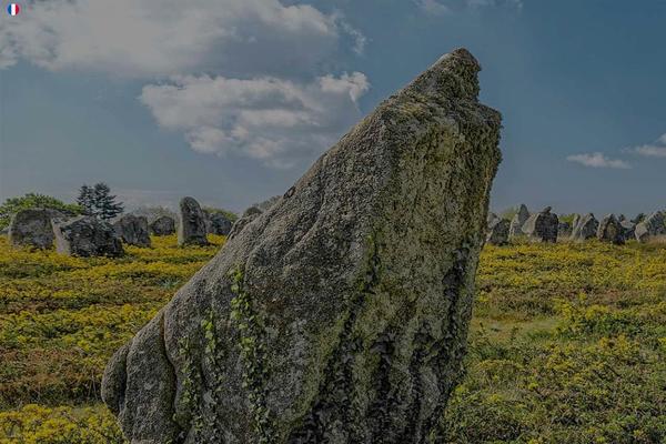 Site using Blocks-animation plugin