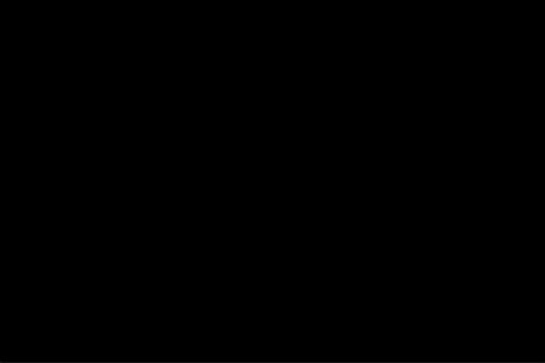 Site using Revslider-particlewave-addon plugin
