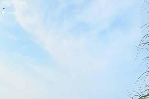 Ivena theme site design template sample