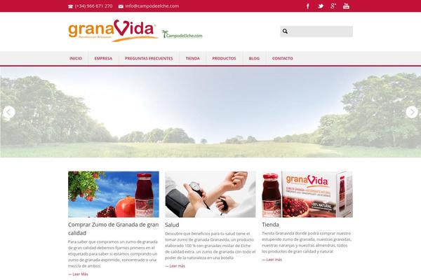 campodeelche.com site used Remarky