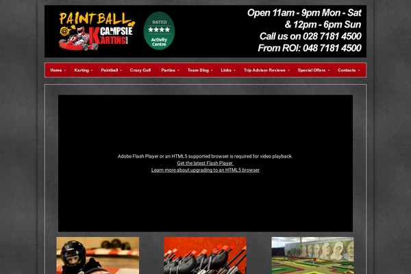 CyberChimps Pro theme site design template sample